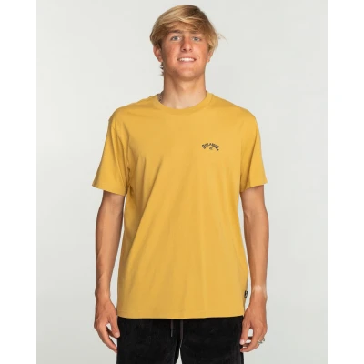 Abbildung von Billabong T Shirt &quot;Arch Wave&quot;