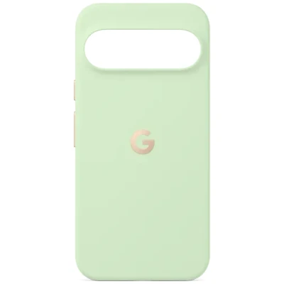 Abbildung von Google Pixelsnap Back Cover Grün Pixel 10 Pro XL