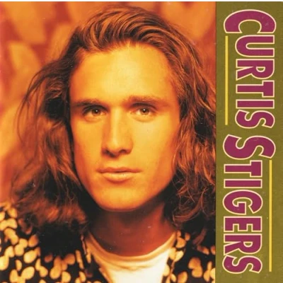 Abbildung von Curtis Stigers Album CD