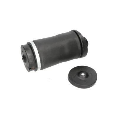 Abbildung von Luftfeder, Fahrwerk KAVO PARTS SAS 10018
