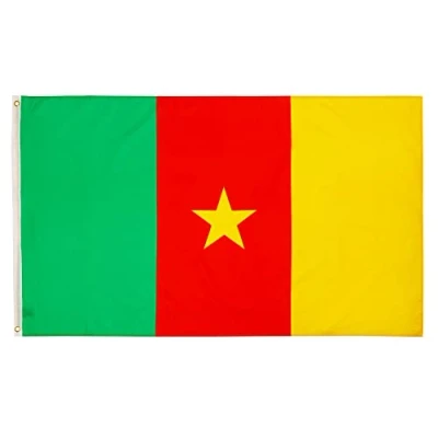 Abbildung von PHENO FLAGS Kamerun Flagge 90x150cm wetterbeständige Fahne mit Messingösen, 100% Polyester, robuste Doppelnaht &amp; in lebendigen Farben ideal für Flaggen Liebhaber