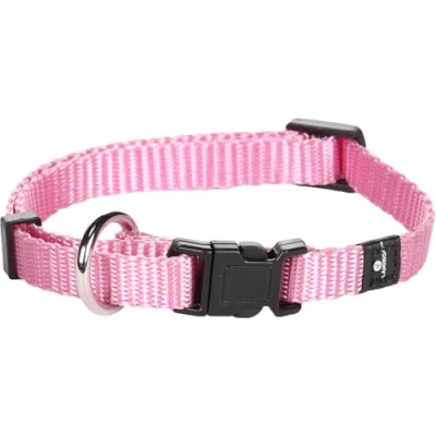 Abbildung von Flamingo Halsband für Hund Ziggi rosa XS 20 35cm 10mm Stufenlos verstellbar Mit zugentlastung