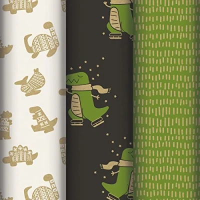 Abbildung von Clairefontaine 223846AMZC 12 Rollen Geschenkpapier Kraftpapier (100% recycelt) 2 m x 0 70 cm (groß) 80 g, verschiedene Motive Dino