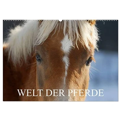 Abbildung von Welt der Pferde (Wandkalender 2025 DIN A2 quer), CALVENDO Monatskalender