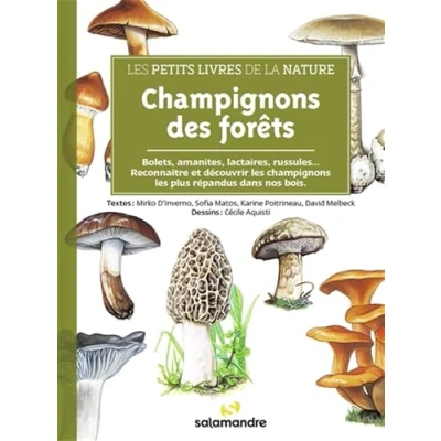 Abbildung von Les petits livres de la nature Champignons des forêts