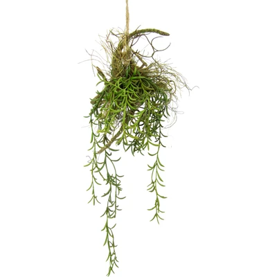 Abbildung von I.GE.A. Kunstpflanze &quot;Tillandsia&quot;, Hänger auf Ast Künstlicher Moos Hängeampel