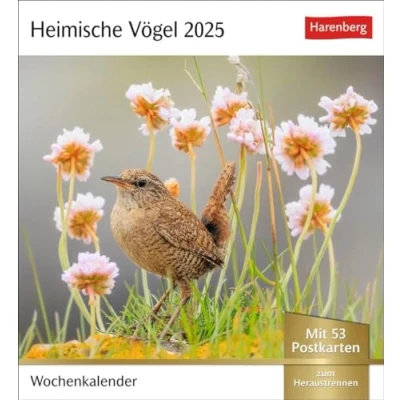 Abbildung von Heimische Vögel Postkartenkalender 2025 Wochenkalender mit 53 Postkarten: im Postkarten Format Vogelporträts. Tischkalender ... Verschicken (Postkartenkalender Harenberg)