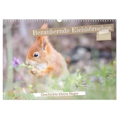 Abbildung von Bezaubernde Eichhörnchen (Wandkalender 2025 DIN A3 quer), CALVENDO Monatskalender