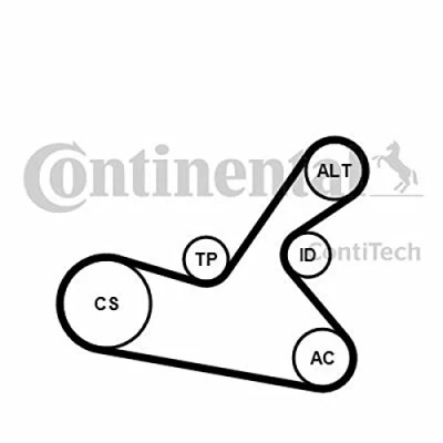 Abbildung von CONTITECH 6PK1125K1 Keilrippenriemensatz PEUGEOT: 307 Schrägheck, SW, Kombi, CITROËN: C3 I C2 RENAULT: LAGUNA 1