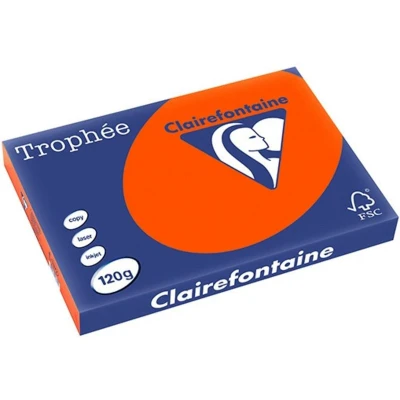 Abbildung von 5 x Clairefontaine Kopierpapier Trophee A3 120g/qm VE=250 Blatt ziegel