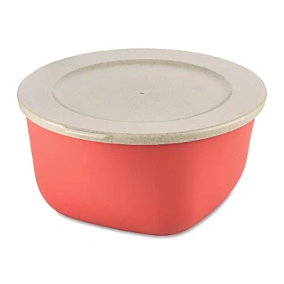 Abbildung von CONNECT Box 2 mit Deckel 2l nature coral