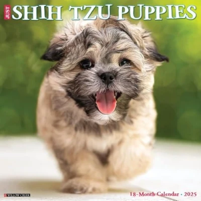 Abbildung von Just Shih Tzu Puppies 2025 12 X Wall Calendar