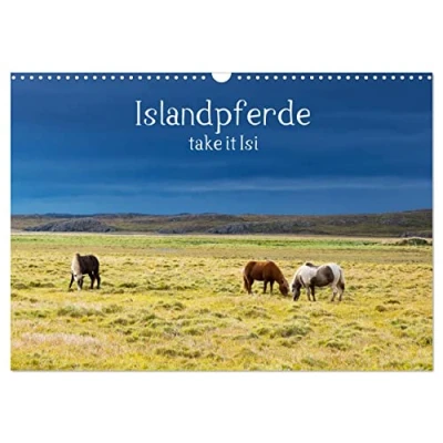 Abbildung von Islandpferde take it Isi (Wandkalender 2025 DIN A3 quer), CALVENDO Monatskalender