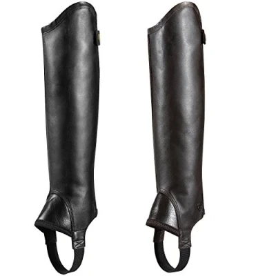 Abbildung von Ariat Concord Minichaps