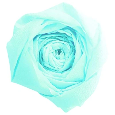 Abbildung von Clairefontaine 903025C Packung mit 10 Bögen Krepppapier, 2,5 x 0,5m, ideal für kreativen Hobbies, 1 Pack, türkis