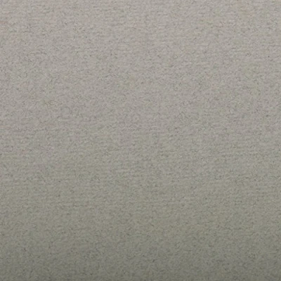 Abbildung von Clairefontaine 93515C Packung (mit 25 Blätter, 130 g, Ingres Pastell Papier, gekörnt, 50 x 65 cm, ideal für Trockentechnik) dunkelgrau