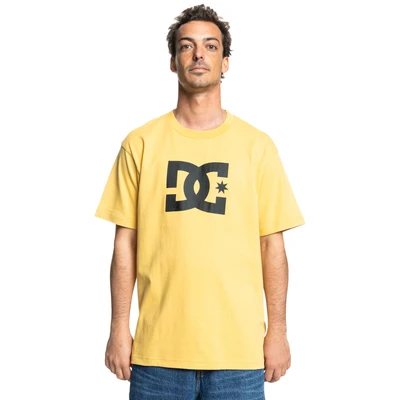 Abbildung von DC Shoes STAR Tshirt print, Größe: Large, Xyyb rattan