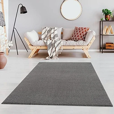 Abbildung von Fashion4Home Teppich Wohnzimmer Einfarbig Teppich, Uni fürs Kinderzimmer, Schlafzimmer, Arbeitszimmer, Büro, Flur und Küche Kurzflor Hellgrau, Größe: 200x290 cm
