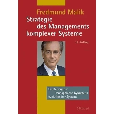 Abbildung von Strategie des Managements komplexer Systeme: Ein Beitrag zur Management Kybernetik evolutionärer Systeme