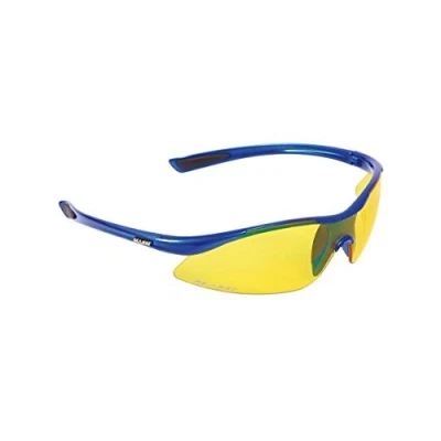 Abbildung von Fahrradbrille Massi World champion
