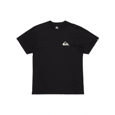Abbildung von Quiksilver EV MINI LOGO Tshirt basic, Herren, Größe: XL, Kvj