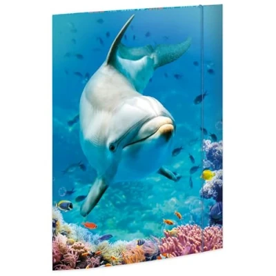 Abbildung von RNKVERLAG Zeichenmappe Dolphin 320 x 430 mm, für Formate bis DIN A3 mit Gummizugverschluss, 1 Stück