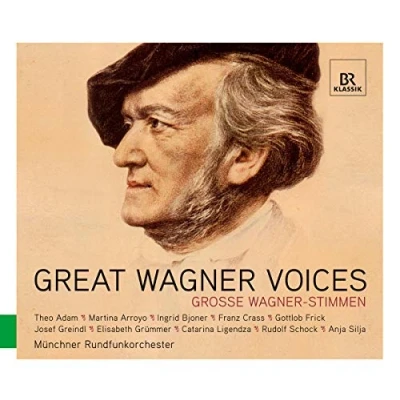Abbildung von Große Wagner Stimmen