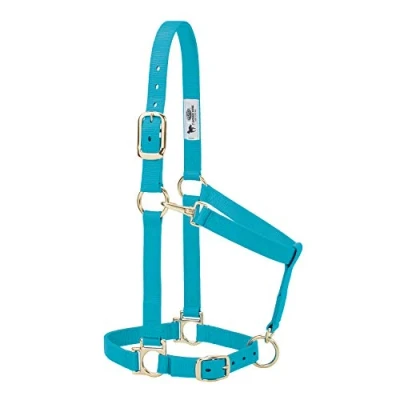 Abbildung von Weaver Leather Basic Adjustable Nylon Halter, Turquoise, 1&quot; Large Horse