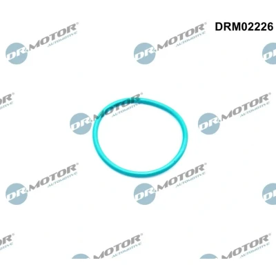 Abbildung von DR.MOTOR AUTOMOTIVE DRM02226 Dichtung, AGR Ventil nach Abgasrückführung FORD: C Max 2, FOCUS 3 Turnier, FIESTA 6