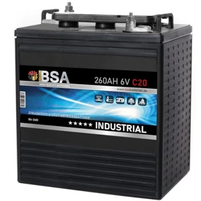 Abbildung von BSA Batterie 6V 260Ah C20 Traktionsbatterie Antrieb Gabelstapler Stapler Hubwagen Hebebühne Elektroauto Golfcart 215Ah C5