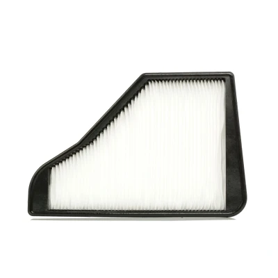 Abbildung von BOSCH 1 987 435 116 Innenraumfilter Partikelfilter 391 256,9 43 MERCEDES BENZ: S Klasse Limousine, SL Cabrio, Coupe