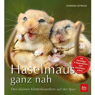 Abbildung von Haselmaus ganz nah: Den kleinen Kletterkünstlern auf der Spur (BLV Natur)