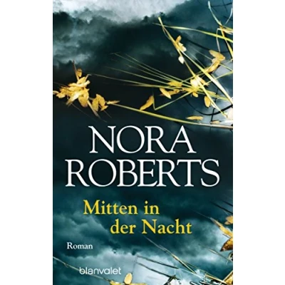Abbildung von Mitten in der Nacht: Roman