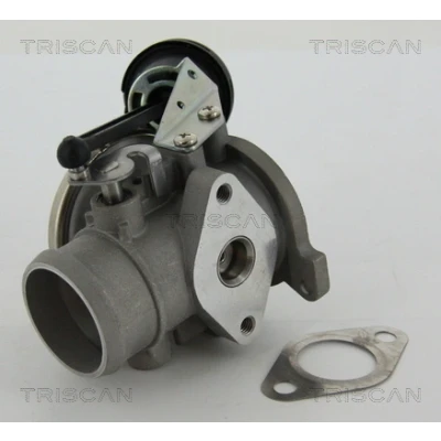 Abbildung von TRISCAN 8813 29022 AGR Ventil pneumatisch mit Dichtungen VOLKSWAGEN: Lupo / 3L, Polo III Schrägheck, AUDI: A2, SEAT: Arosa