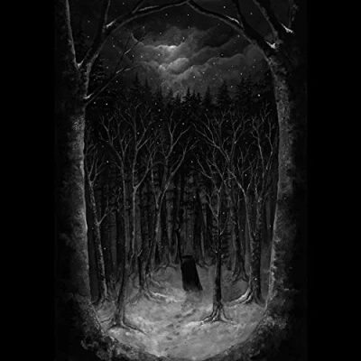 Abbildung von Im Wald