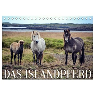 Abbildung von Das Islandpferd (Tischkalender 2025 DIN A5 quer), CALVENDO Monatskalender