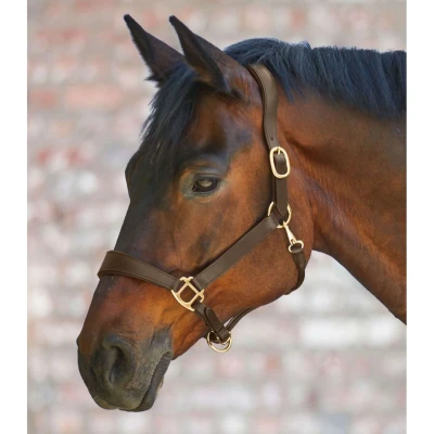 Abbildung von Waldhausen Halfter X Line Anatomic Leder Braun Warmblut