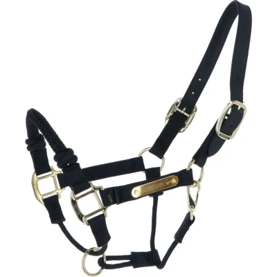 Abbildung von Kentucky Control Halter Nylon Schwarz Warmblut