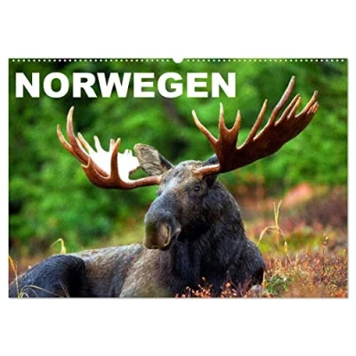 Abbildung von Norwegen (Wandkalender 2025 DIN A2 quer), CALVENDO Monatskalender