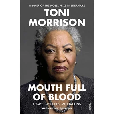 Abbildung von Mouth Full of Blood: Essays, Speeches, Meditations