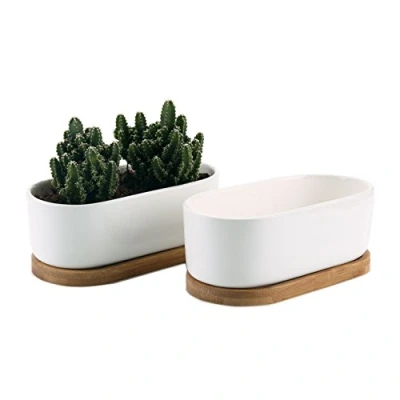 Abbildung von T4U 17CM Modern Oval Design Keramik Sukkulenten Töpfe Kaktus Pflanze klein Blumentöpfe mit untersetzer Weiß 2er Set