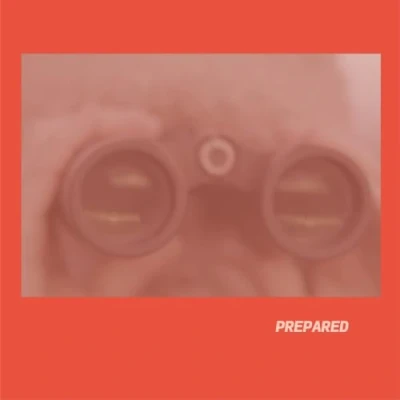 Abbildung von Prepared [VINYL] [Vinyl LP]