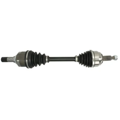 Abbildung von Antriebswelle PASCAL G2R095PC