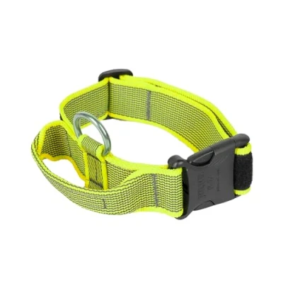 Abbildung von Julius K9 100HA K NE 2015 Color &amp; Gray Halsband mit Haltegriff, Sicherheitverschluss und Logo, 40 mm*38 53 cm, verstellbar, neon grau