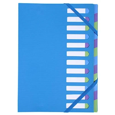 Abbildung von Exacompta 52362E Premium Ordnungsmappe Campus Neon Hardcover. Einband aus stabilem Kunststoff DIN A4 12 vollfarbige Fächer Karton mit dehnbarem Rücken und 2 Gummizügen Indexfenster blau