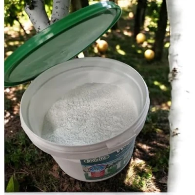 Abbildung von Weißanstrich für Obstbäume 1kg Gartenkalk im praktischen Eimer, Baumanstrich Frostschutz und Pflege