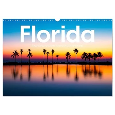 Abbildung von Florida Eine Reise in den Sonnenscheinstaat. (Wandkalender 2025 DIN A3 quer), CALVENDO Monatskalender