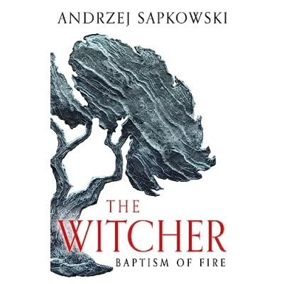 Abbildung von Baptism of Fire: Witcher 3 Now a major Netflix show (The Witcher)