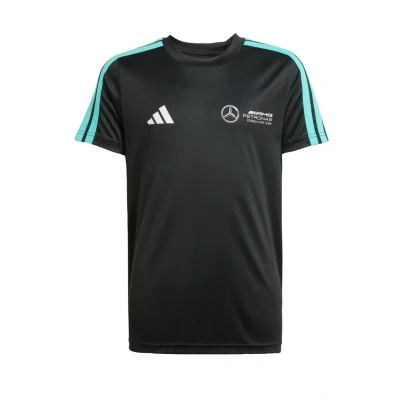 Abbildung von MERCEDES AMG PETRONAS FORMULA ONE TEAM DNA T SHIRT