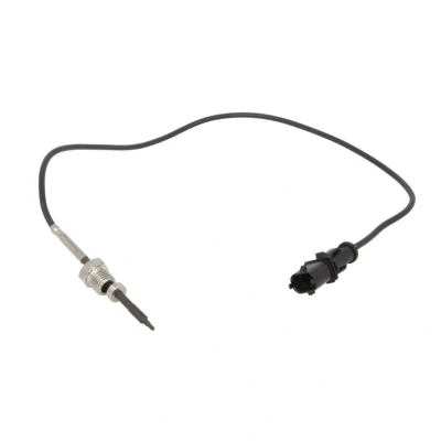 Abbildung von DELPHI TS30201 Sensor, Abgastemperatur FIAT: Doblo I Kombi, Cargo